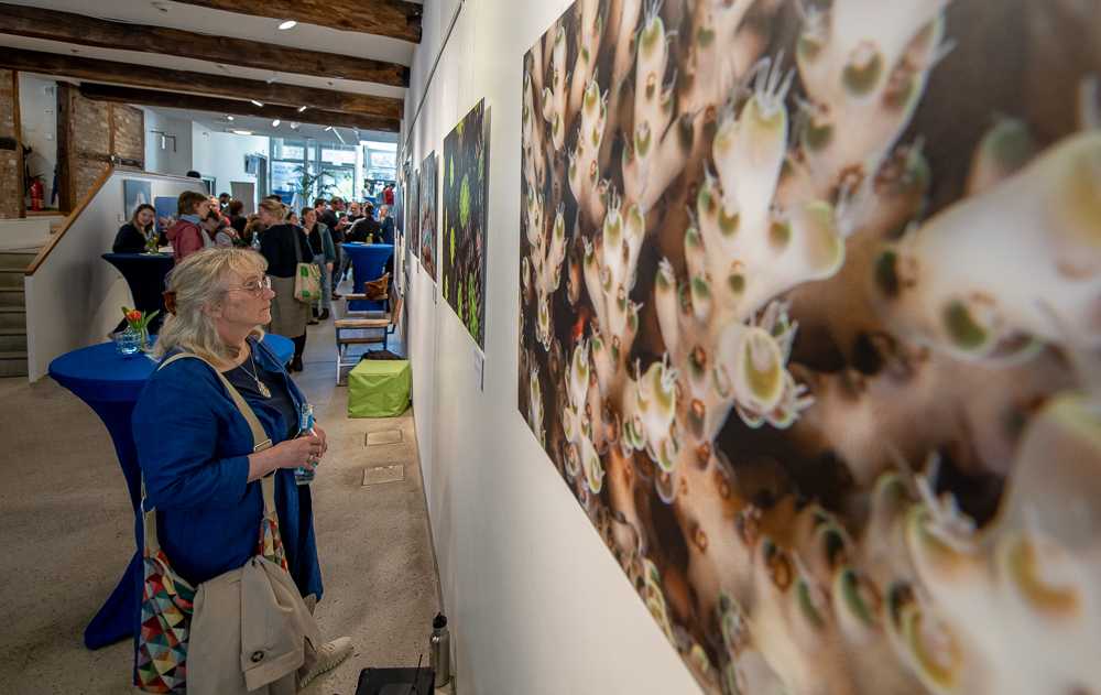 Visitors at photo exhibition